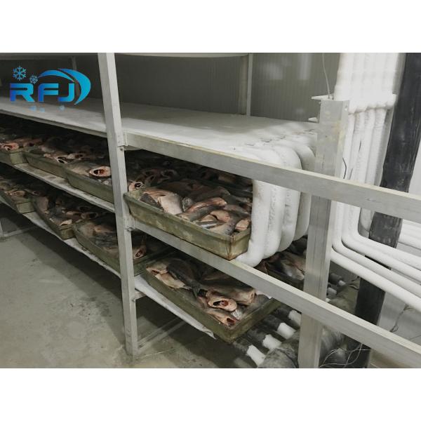 Fresh Tuna Small Tunnel Plate Blast Walk In Freezer Industrial Seafood Iqf Cold Contact Panel