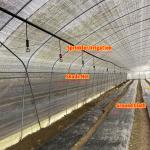 Hot Dip Galvanized Steel Pipe Industrial Insect Net Mushroom Farming Greenhouse