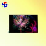 MIPI 31PIN 10.1 Inch TFT Display Full Angle View Resolution 800x1280 Standard