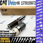 diesel fuel engine injector 10RO963 229-5918 212-3463 212-3464 for CAT c10