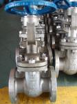 300LB Flex Wedge Gate Valve