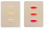 Eyeliner Permanent Makeup Practice Skin Sheet Shape Pad 20.5cm X 15cm X 0.15cm