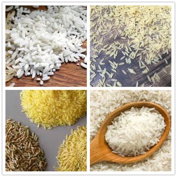 Artificial Rice Production Machine , Nutritional Artificial Rice Processing Equipment