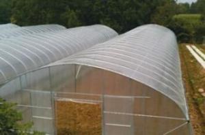 Wholesale Indoor Outdoor Greenhouse Tent Small / vegetable Grow Tent Easy Installed from china suppliers