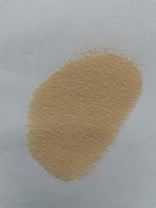Wholesale Food Grade Alcohol Fermentation Specialized Multi Enzyme Increasing The Alcohol Yield from china suppliers