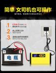 12v 24v Lifepo4 Intelligent Car Battery Charger Smart Two Types