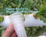 Commercial Aquaponics Growing Systems Agricultural Greenhouse Indoor Hydroponics