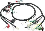 PVC Copper Customized Automotive Wire Harness Assembly for LS1 Motorcycle