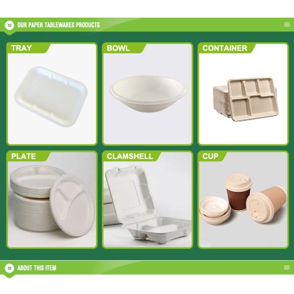 3 Compartment Recyclable Eco-friendly Sugarcane Food Container 9 Inch Clamshell Packaging