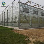 Strong Structure Large Glass Greenhouse , Venlo Glass Greenhouse Single Layer