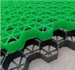 ISO9001 Certified Landscape Grass Paver Grid for Outdoor Parking Lot Versatile