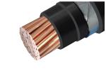1kv Grounding Armoured Electrical Wire FR-PVC Sheathed