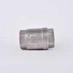 Silver Finish 1/2''-3.0'' Stainless Steel NPT BSP 201 304 One Way Non Return