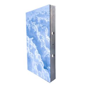 Wholesale SMD2020 Steel Cabinet Indoor Fixed LED Display with Front Service and Magnet Module Connection 500x1000mm from china suppliers