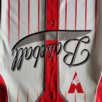 XS-3XL Moisture Wicking Blue Baseball Jersey , Sublimation Custom Baseball