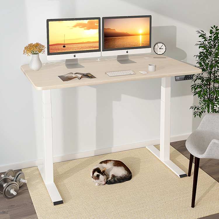 80 kgs Capacity Electric Height Adjustable Coffee Table for Kids Learning and Writing