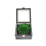 Green Forever Rose In A Box , Elegant Square Everlasting Roses In A Box