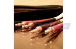 16 AWG 2 Cores Audio Speaker Cable Stranded OFC Conductor UL CMR Rated PVC