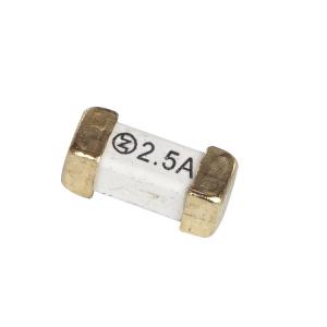 Wholesale 300V Ceramic Surface Mount Fuses / 2410 Fuse Time Delay Blow from china suppliers
