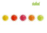 Scented Starfish Concentrated Air Freshener With Stick on Windows