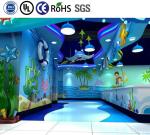 Custom Naughty Castle Ocean Themed Indoor Playground