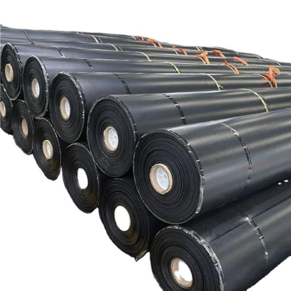 Direct Sale Geomembrane for Tailings Pond Highway Slopes Fish Ponds Free Spare