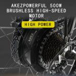Soft Tail Frame 30-50Km/H 40Km/H Lithium Battery Electric Bicycle With Led