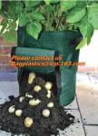 Big Garden Sacks Potato Grow Bag , Garden Planter Sack Vegetable Tomato Patio