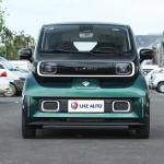Adult Mini Energy Vehicle with Battery Capacity 31.9kWh and Charging Time 0.5