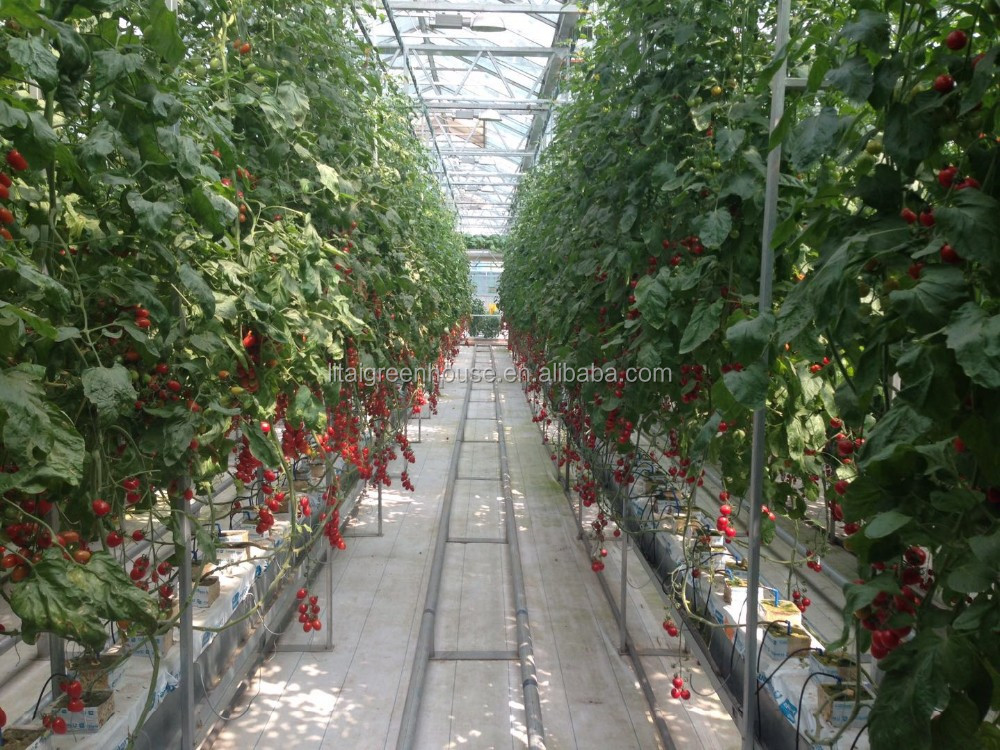 PE Material Hydroponic Vegetable Vertical Farming Groove System for Easy and Planting