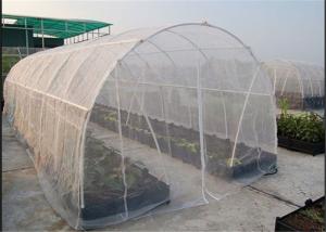 Wholesale High Efficacy 80gsm Lightweight Insect Window Net 30 Mesh 3m Width from china suppliers