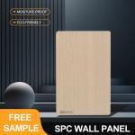 SPC Wall Panel Sale 600*2440*4mm Waterproof Stone Plastic Eco-Friendly Ceramic