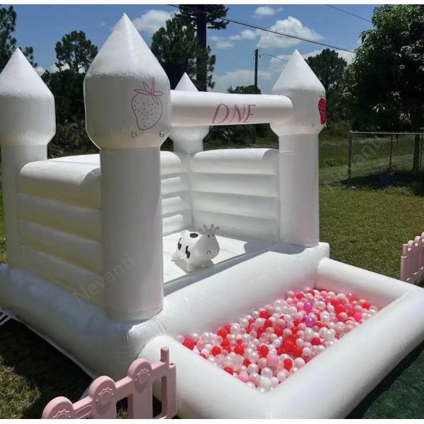 Air Inflatables Castle Warehouse 14 Years up Custom Logo Printed Inflatable Bouncy Castle