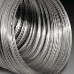 Topone Stainless Steel Forming Wire 1.4301 1.4410 1.4401 Wire Coil