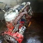 EK100 Engine Original Complete Steel Material Best for B2B Buyer