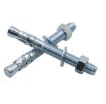 3mm-500mm Thickness M20 Stainless Steel Ceiling Wedge Anchor Bolt for Metric