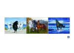 PET / PP Animal Print Lenticular Posters For Home Decoration SGS