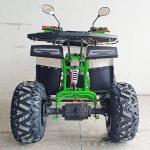 Experience the Power of Our 1000W Electric ATV 4 Wheel All Terrain Vehicle for