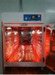 LIYI Forced Air Drying Hot Laboratory Horno De Secado Industrial Infrared Oven