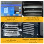 6 Trays Vacuum Freeze Drying Equipment Large-Scale Production Freeze Dryer In