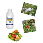 Strong Toxicity Fruit Tree Pesticides 10% Beta Cypermethrin Valerate SC Controls