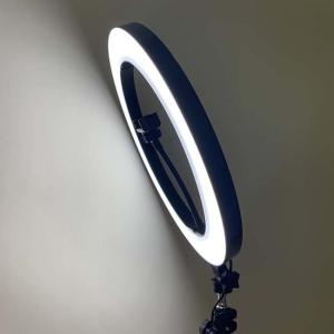 Wholesale SMD2835 20W 14inch Dimmable LED Ring Light from china suppliers