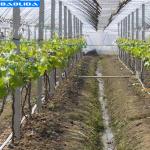 Greenhouse Drip Tape System Warehouses 16mm Pipe Greenhouse Irrigation System