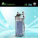 Lipo Cryo Cryotherapy Fat Freezing Cryolipolysis Machine For Salon Use