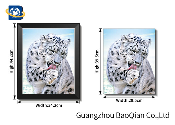 images Change Effect 3D Lenticular Flips Picture With Lion / Tiger Animal