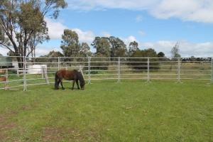 Wholesale 1.8 x 2.1MHeavy Duty Cow Panel Cattle Yard Fencing 6 Oval 2mm thick M from china suppliers