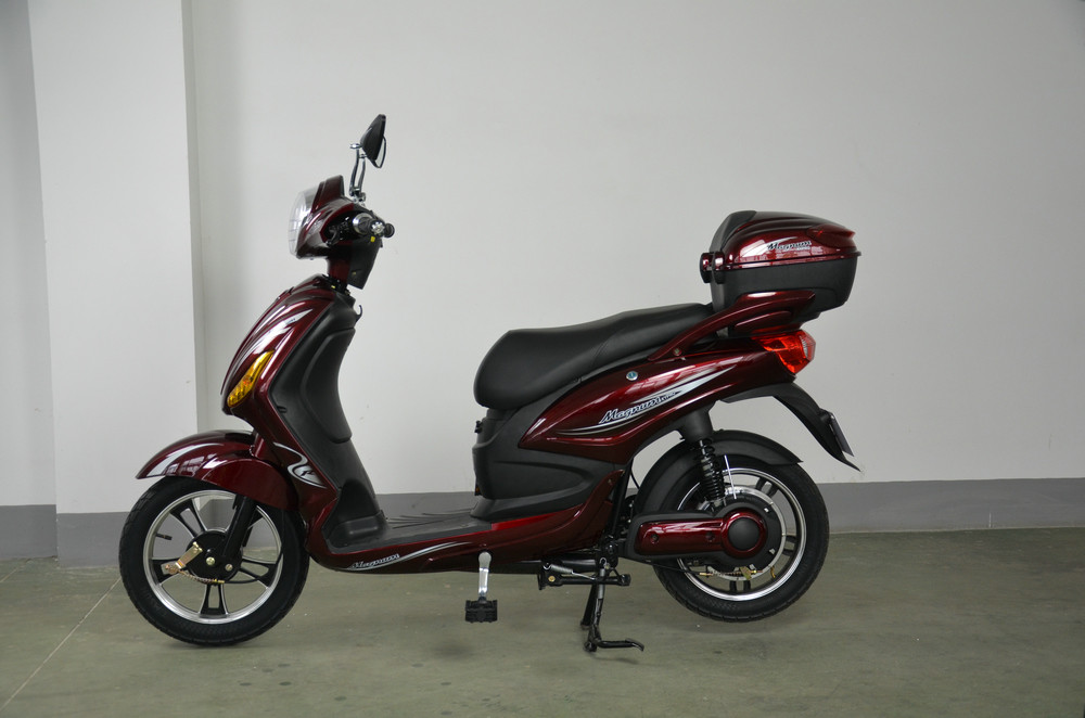 32km/H Road Electric Bike Scooter With Bluetooth Controller