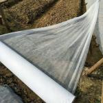 Recyclable Agriculture Non Woven Fabric 170cm Non Woven Polypropylene Roll
