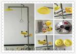 Practical Eye Wash Station With Shower , Stainless Steel Safety Shower In