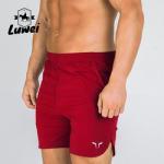 Plus Size Gym Workout Shorts Casual Jogger Fitness Men Swim Beach Shorts